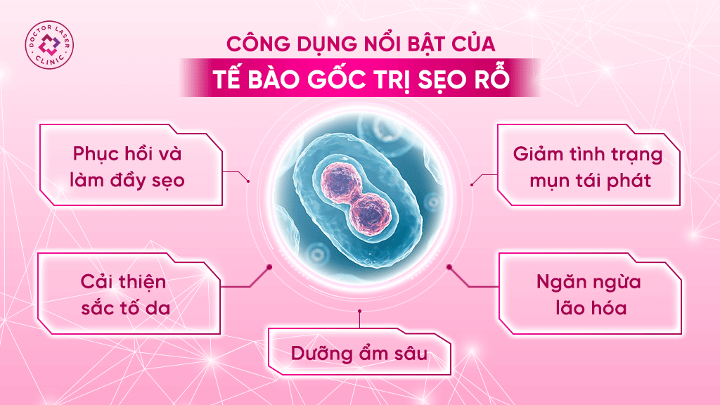 Công dụng của tế bào gốc trị sẹo rỗ