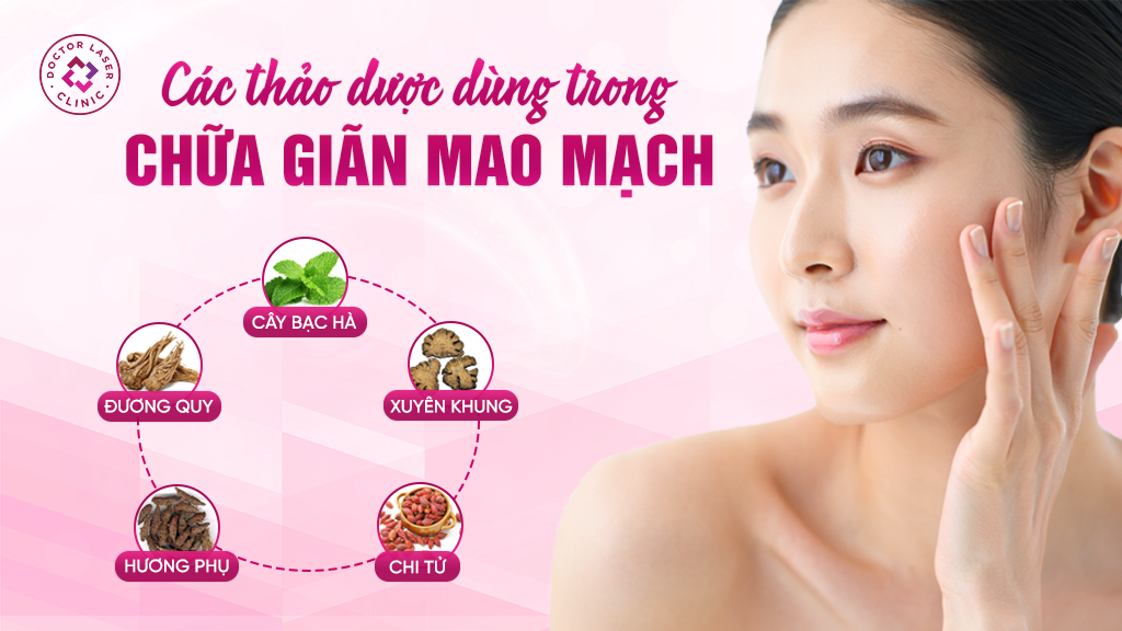 Các thảo dược thường dùng trong chữa giãn mao mạch