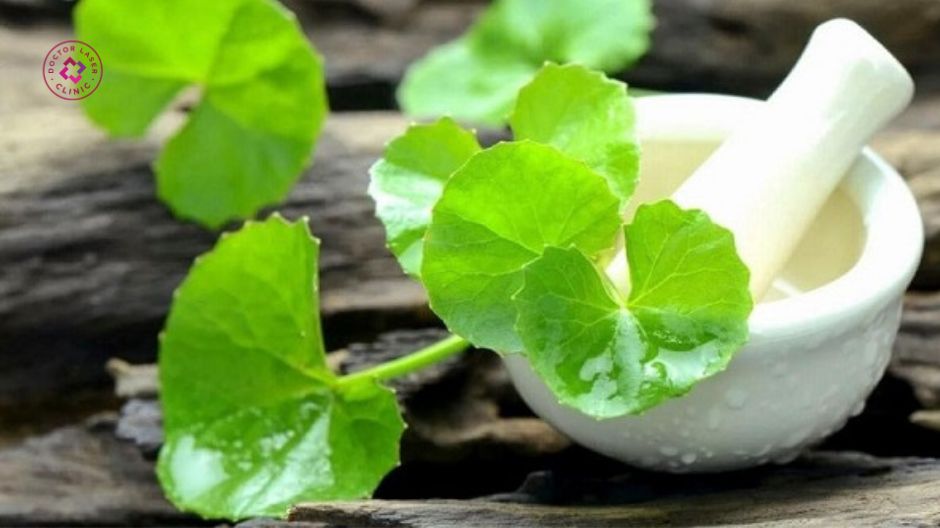 chiết xuất rau má centella asiatica hỗ trợ sẹo rỗ