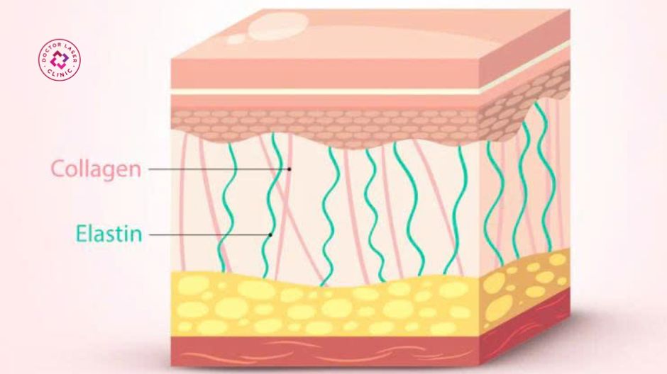 tretinoin kích thích collagen elastin trung bì