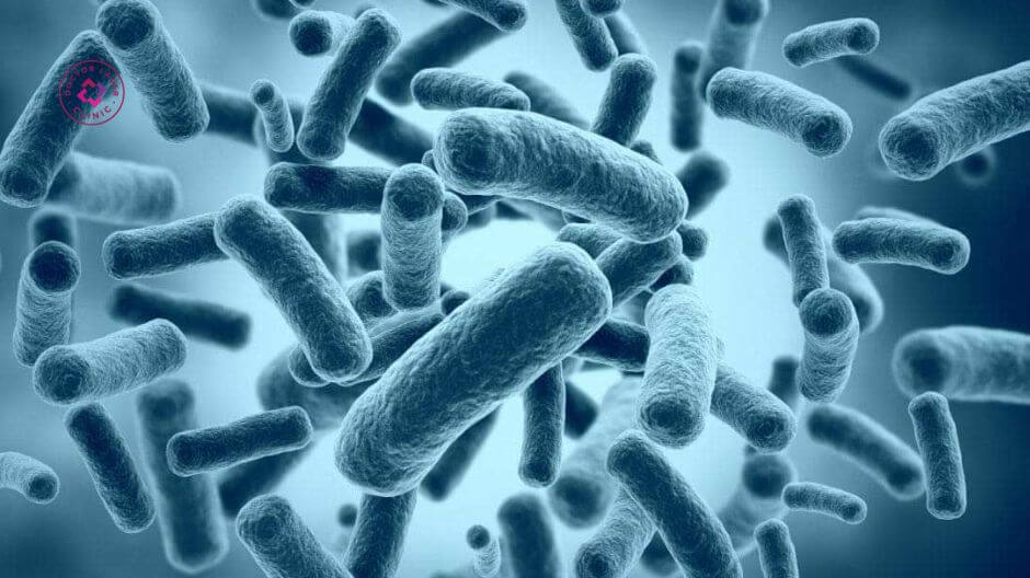 vi khuẩn c acnes gây mụn lưng