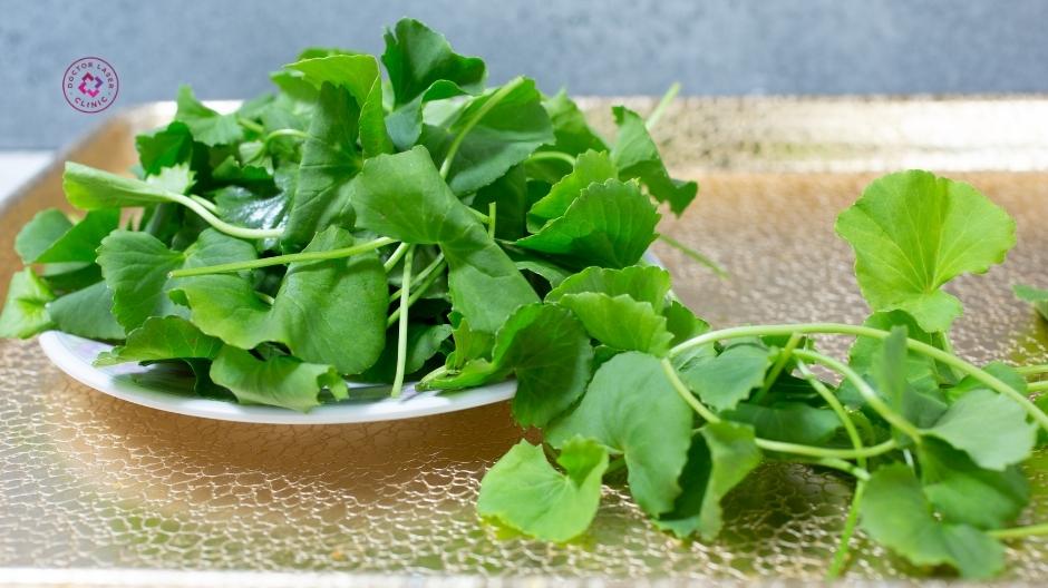 rau má hỗ trợ làm dịu bề mặt sẹo lồi