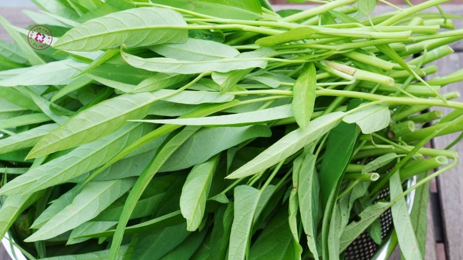 rau muống sau khi khử thâm môi