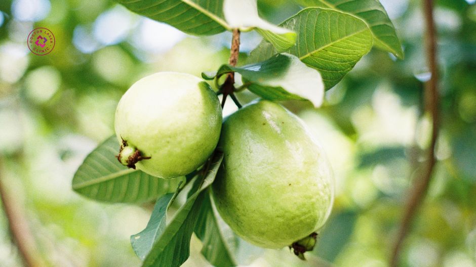 quả ổi hỗ trợ trị nám da