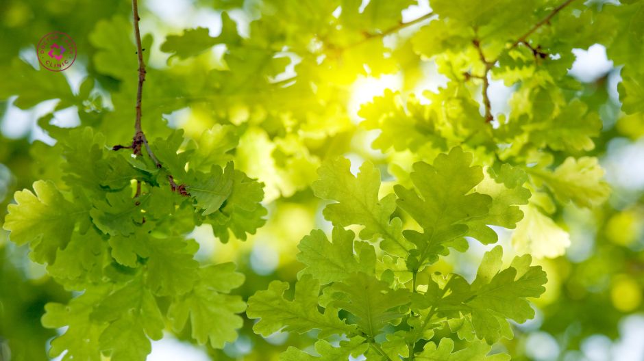 ánh sáng mặt trời gây nám gò má